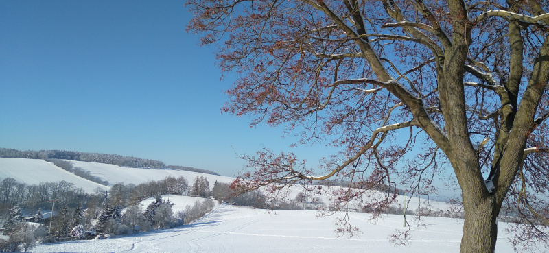 Neujahrsgrüße